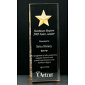 Constellation Series Etched Star Award w/ Gold & Mirrored Bottom (2 7/8"x8")